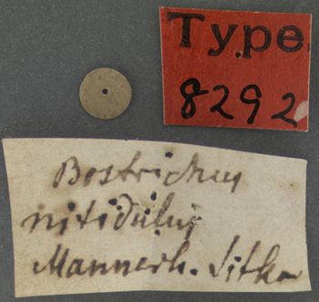 Media type: image; Entomology 8292   Aspect: labels